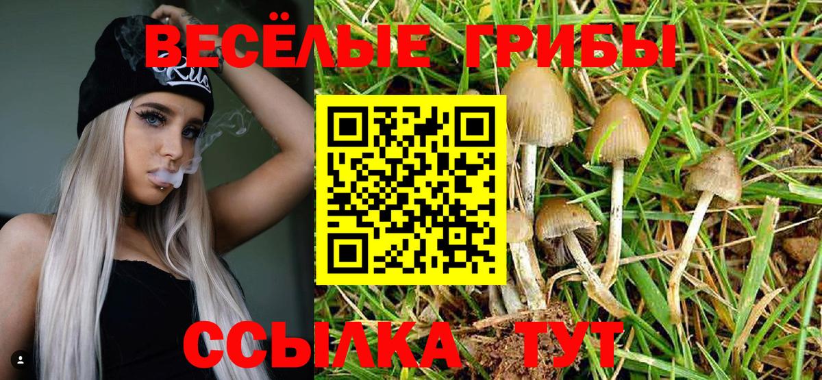 Псилоцибиновые грибы GOLDEN TEACHER Серов