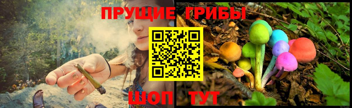 Серов  Галлюциногенные грибы MAGIC MUSHROOMS  Вход с VPN 